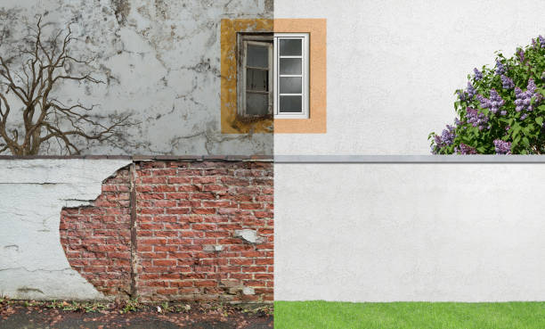 Forensic Mold Investigation in Clarkson, KY