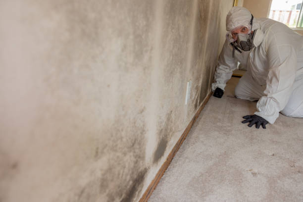 Best Indoor Air Quality Assessment  in Clarkson, KY